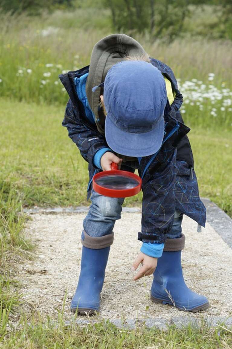 Investigando en el bosque